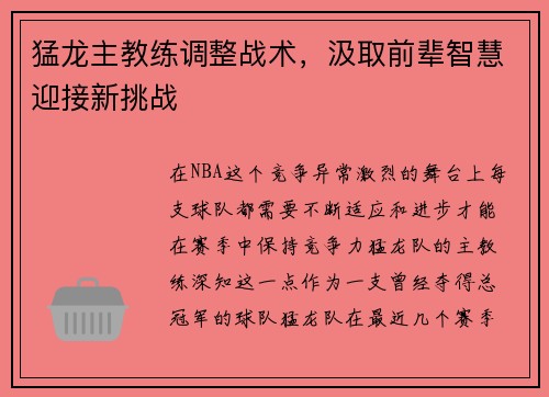 猛龙主教练调整战术，汲取前辈智慧迎接新挑战