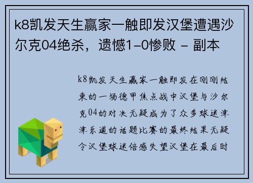 k8凯发天生赢家一触即发汉堡遭遇沙尔克04绝杀，遗憾1-0惨败 - 副本